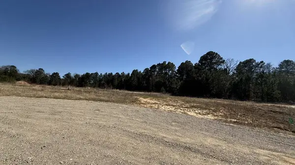 TBD County Road 431, Lindale, TX 75771