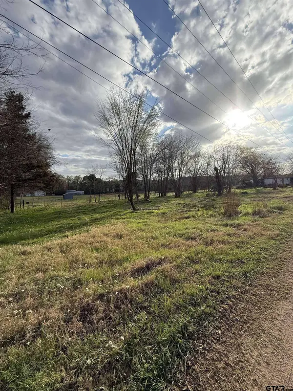 504 W Tarbutton Street, Troup, TX 75789