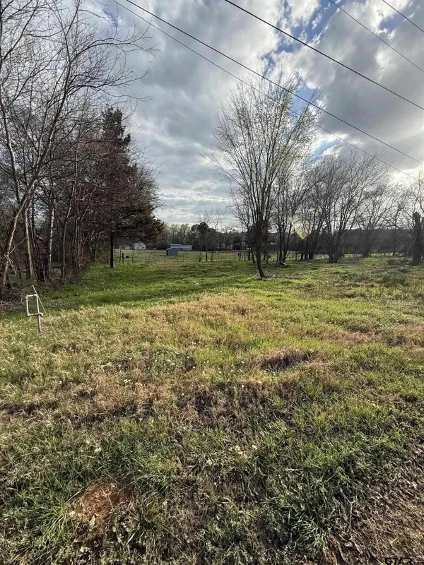 504 W Tarbutton Street, Troup, TX 75789