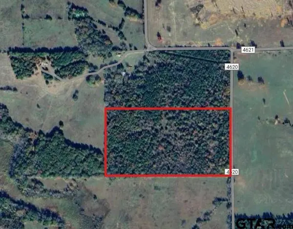 TBD County Road 4620, Troup, TX 75789