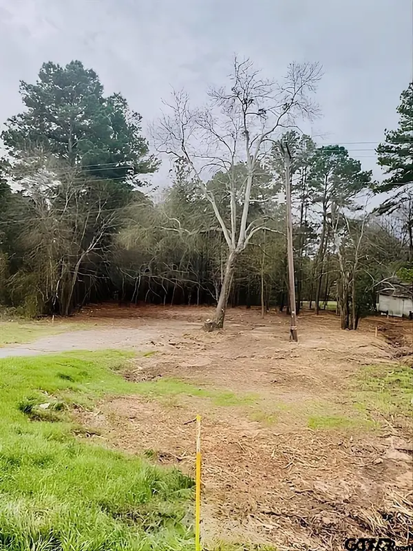 1904 W Duval St, Troup, TX 75789