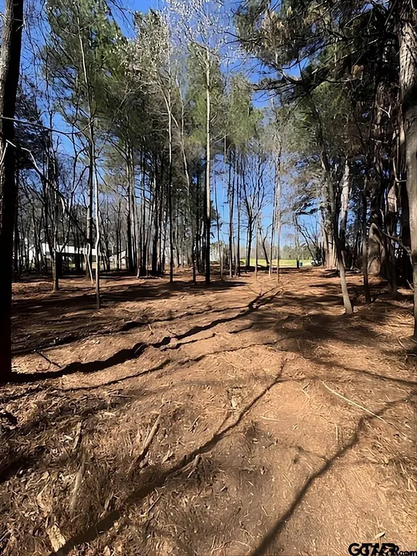 1904 W Duval St, Troup, TX 75789
