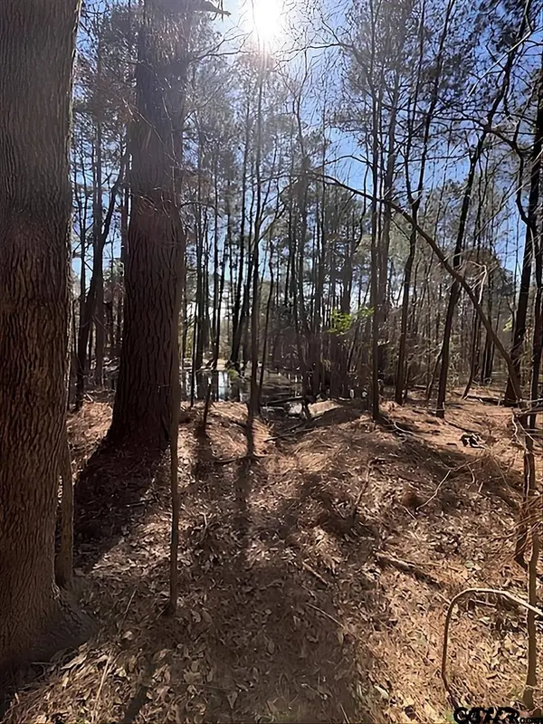 1904 W Duval St, Troup, TX 75789