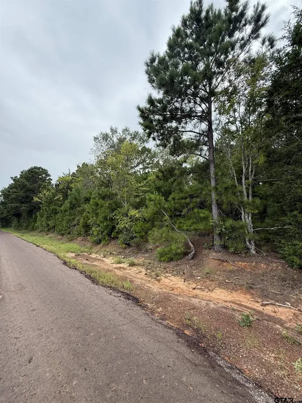 TBD County Road 4620, Troup, TX 75789