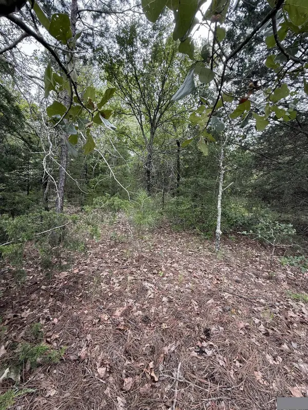 TBD County Road 4620, Troup, TX 75789