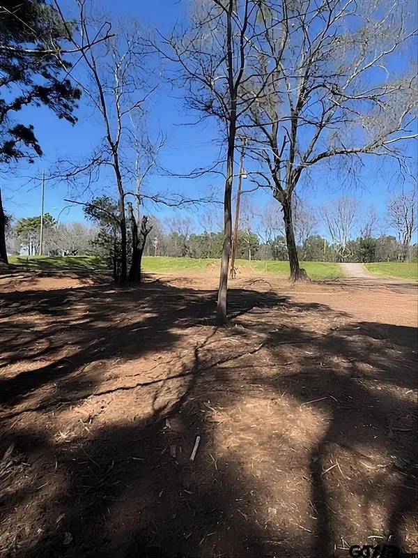 1904 W Duval St, Troup, TX 75789