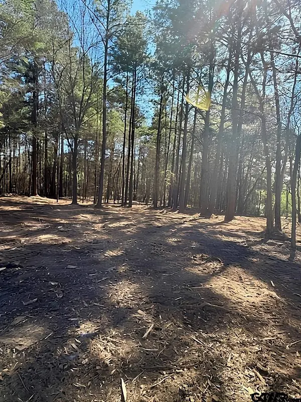 1904 W Duval St, Troup, TX 75789