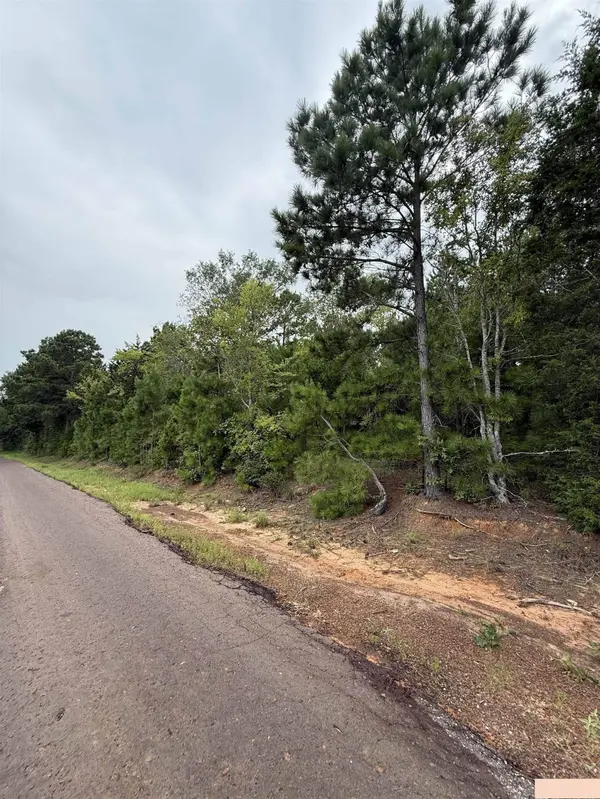 TBD County Road 4620, Troup, TX 75789