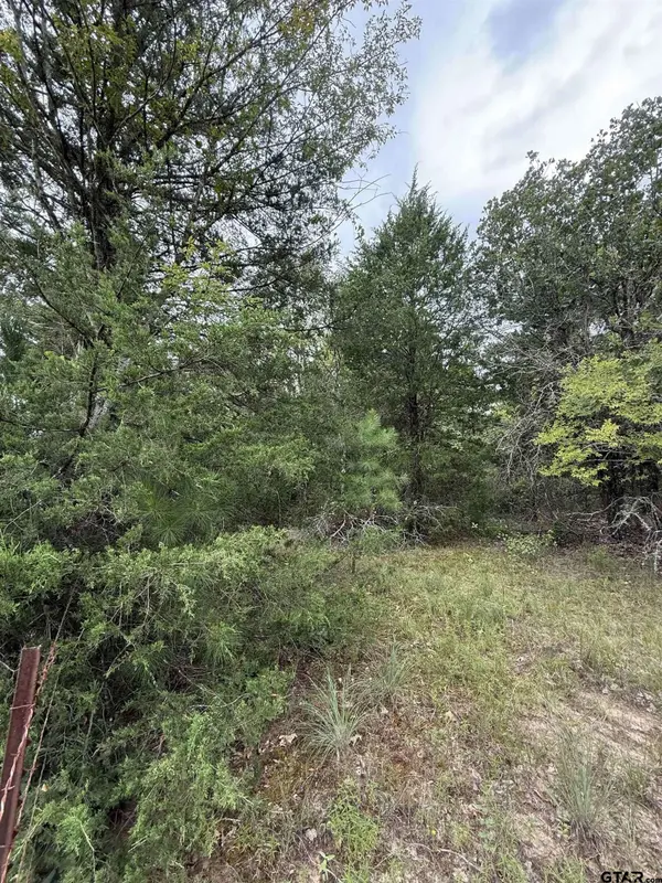 TBD County Road 4620, Troup, TX 75789