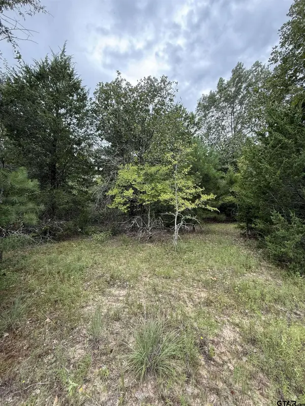 TBD County Road 4620, Troup, TX 75789
