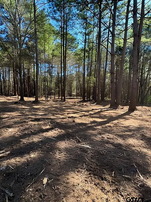 1904 W Duval St, Troup, TX 75789