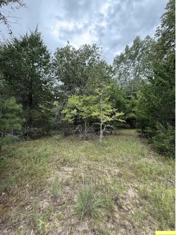 TBD County Road 4620, Troup, TX 75789