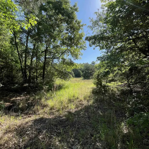 20127 County Road 2138, Troup, TX 75789