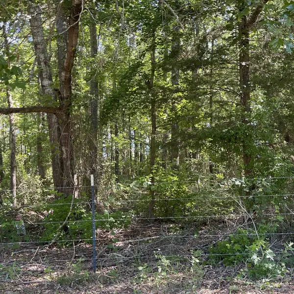 20127 County Road 2138, Troup, TX 75789