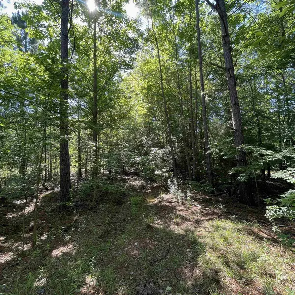 20127 County Road 2138, Troup, TX 75789