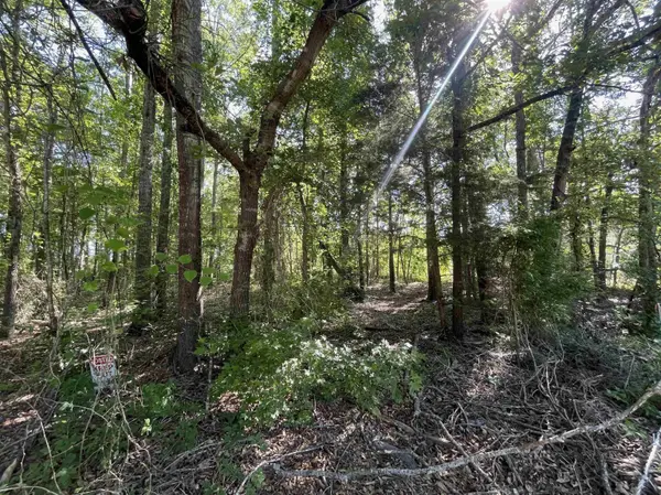 20127 County Road 2138, Troup, TX 75789