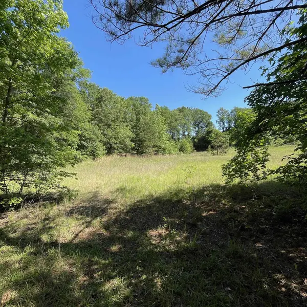 20127 County Road 2138, Troup, TX 75789