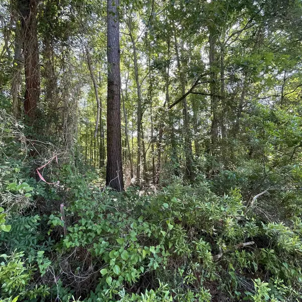 20127 County Road 2138, Troup, TX 75789