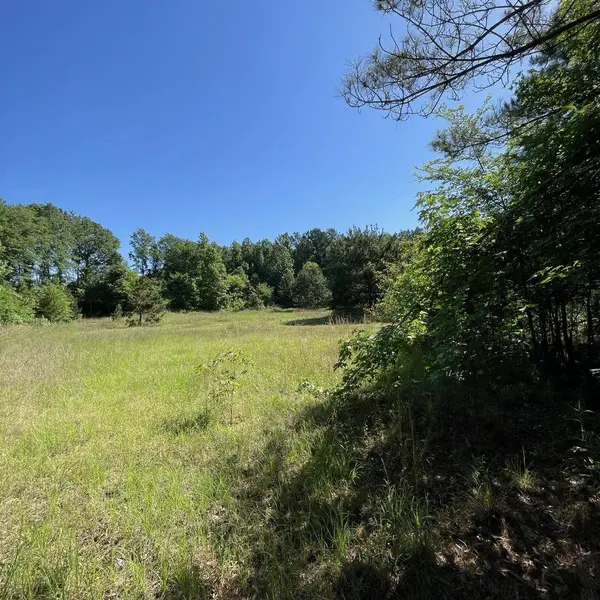 20127 County Road 2138, Troup, TX 75789