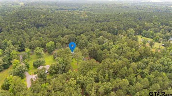 20994 State Highway 110 N, Troup, TX 75789