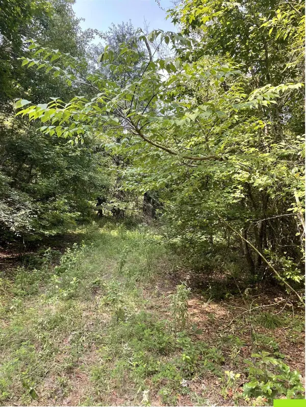 TBD County Road 4559, Winnsboro, TX 75494