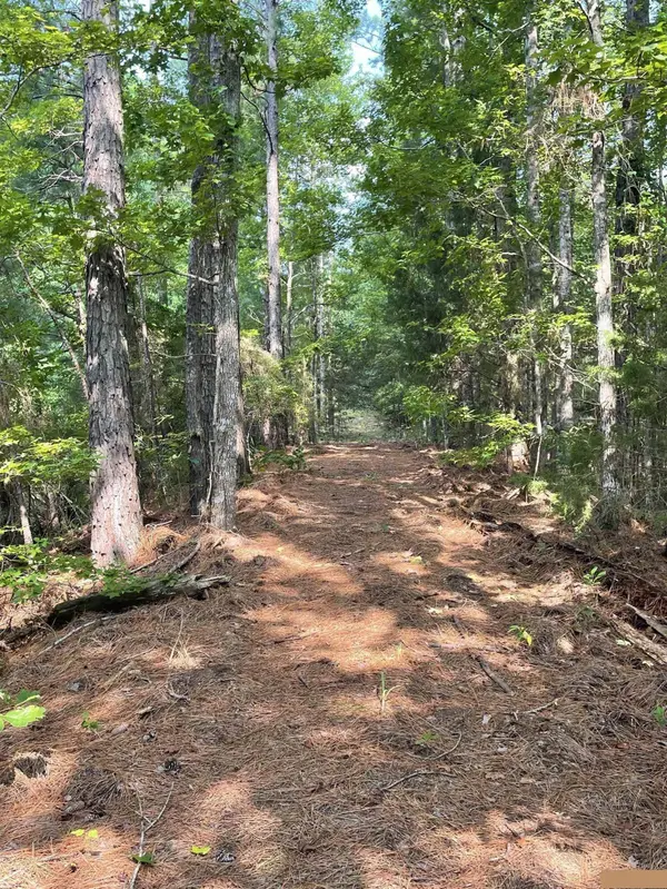TBD County Road 4559, Winnsboro, TX 75494