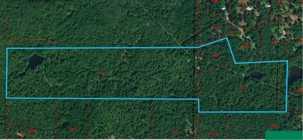 TBD County Road 4559, Winnsboro, TX 75494