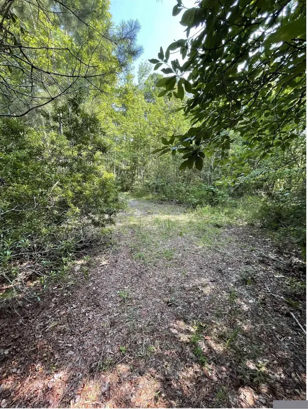 TBD County Road 4559, Winnsboro, TX 75494