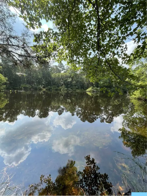 TBD County Road 4559, Winnsboro, TX 75494