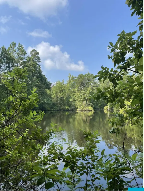TBD County Road 4559, Winnsboro, TX 75494