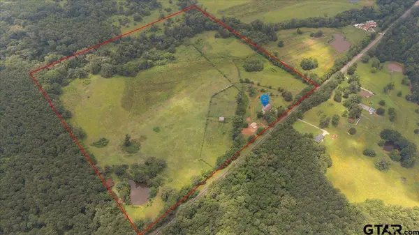 21675 Highway 110 N, Troup, TX 75789