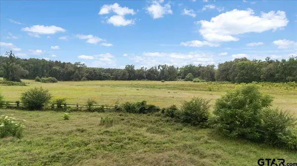 21675 Highway 110 N, Troup, TX 75789