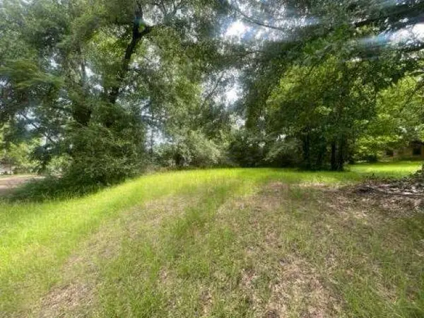 TBD Matilda Drive, Troup, TX 75789