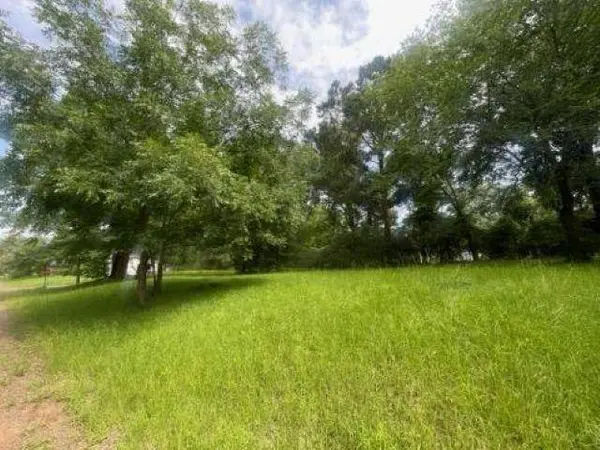 TBD Matilda Drive, Troup, TX 75789