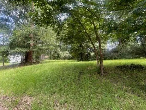 TBD Matilda Drive, Troup, TX 75789