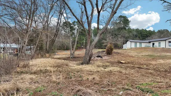 14419 W Peninsula Road, Whitehouse, TX 75791