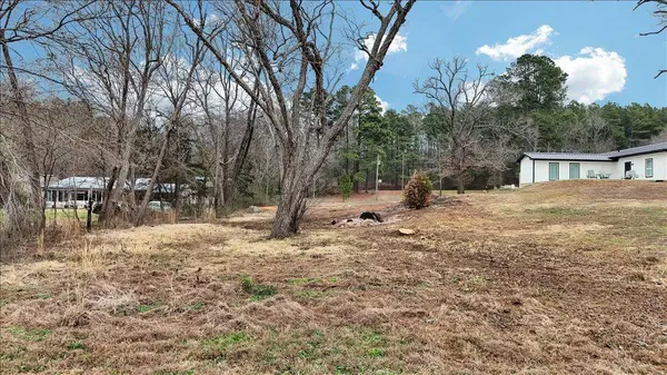 14419 W Peninsula Road, Whitehouse, TX 75791