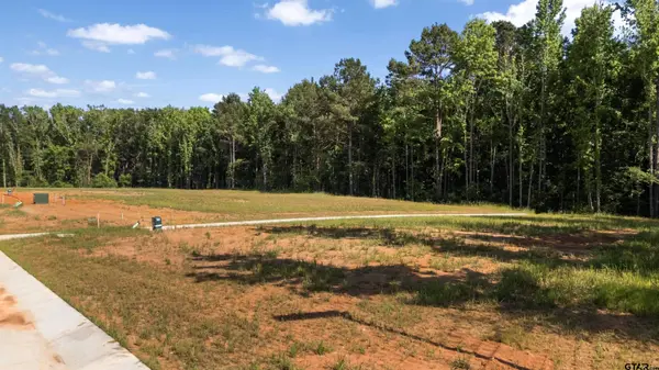 409 Mary Lane, Troup, TX 75789