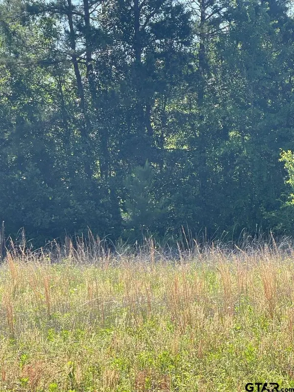 000 County Road 2138, Troup, TX 75789