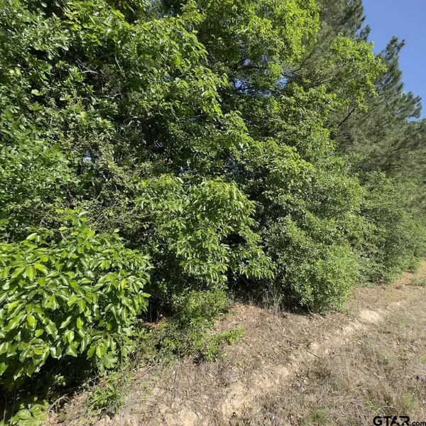 000 County Road 2138, Troup, TX 75789