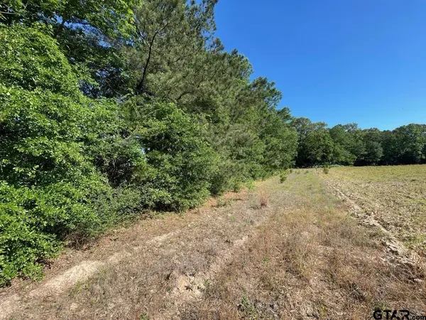 000 County Road 2138, Troup, TX 75789
