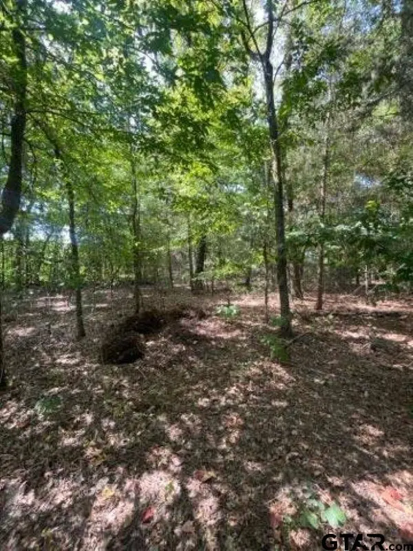 515 Caroline Lane, Bullard, TX 75757