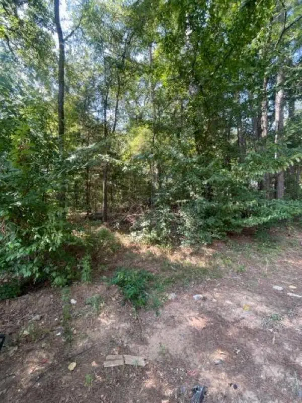 515 Caroline Lane, Bullard, TX 75757