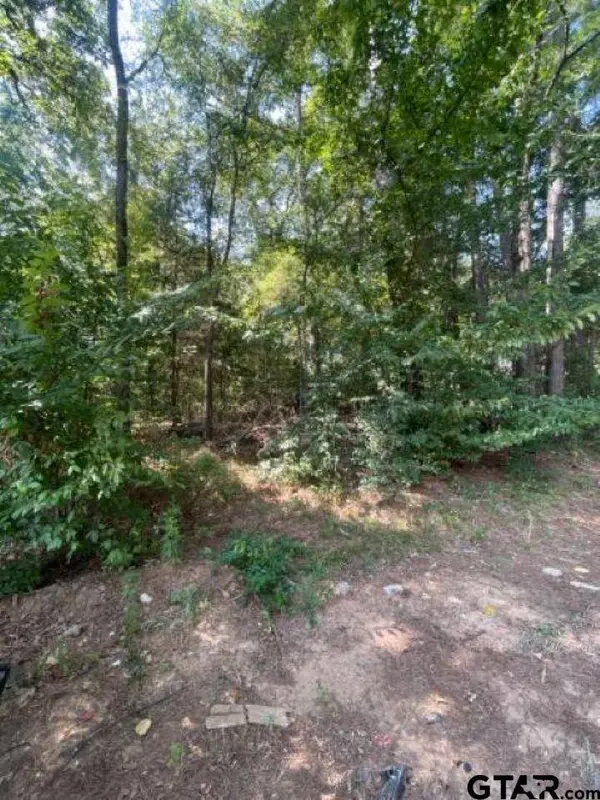 515 Caroline Lane, Bullard, TX 75757
