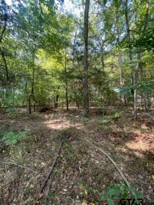 515 Caroline Lane, Bullard, TX 75757