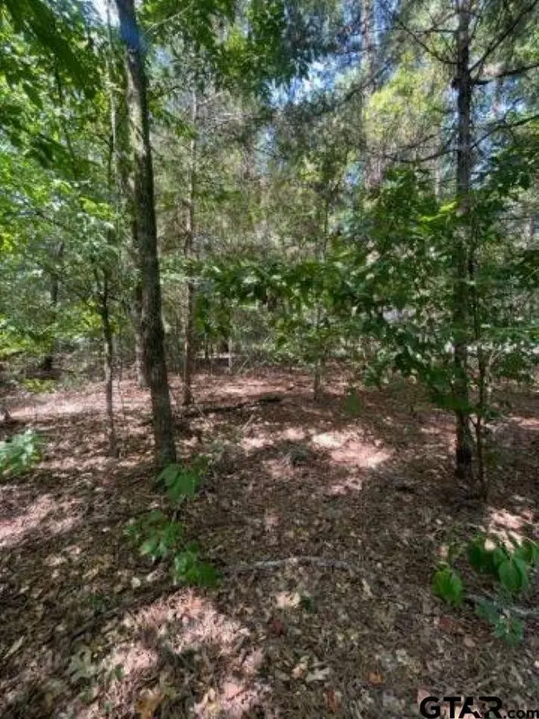 515 Caroline Lane, Bullard, TX 75757