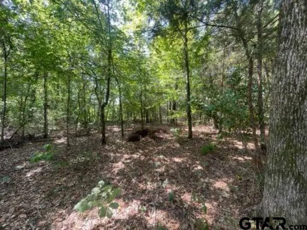 515 Caroline Lane, Bullard, TX 75757