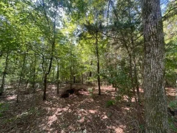 515 Caroline Lane, Bullard, TX 75757