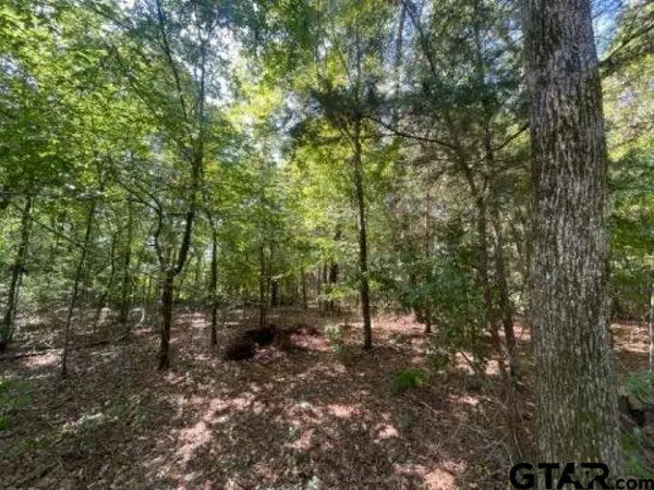 515 Caroline Lane, Bullard, TX 75757