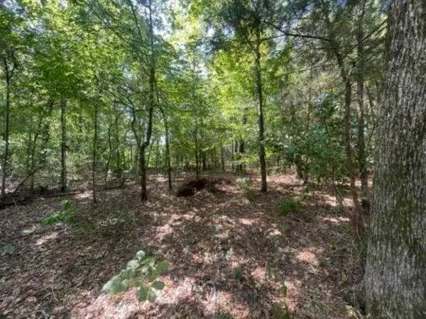 515 Caroline Lane, Bullard, TX 75757